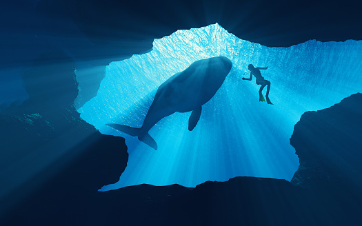 Scuba divers underwater. This is a 3d render illustration