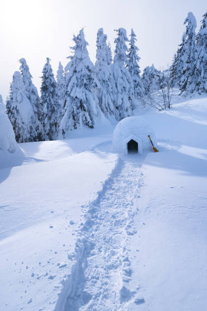 istock Snow igloo in the mountains in winter 1027086426
