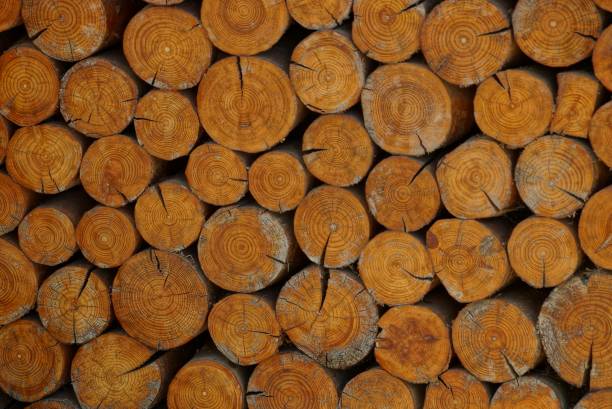 istock brown wooden texture from a cut of round logs 1027097510