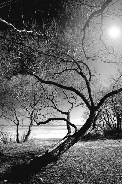 黒と白の写真。 - unfrozen ストックフォトと画像