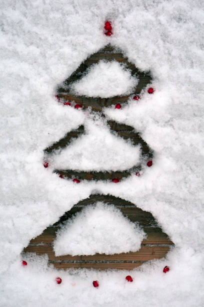 Christmas background from Christmas tree written in snow with   red pomegranate seed. copy space, top view,