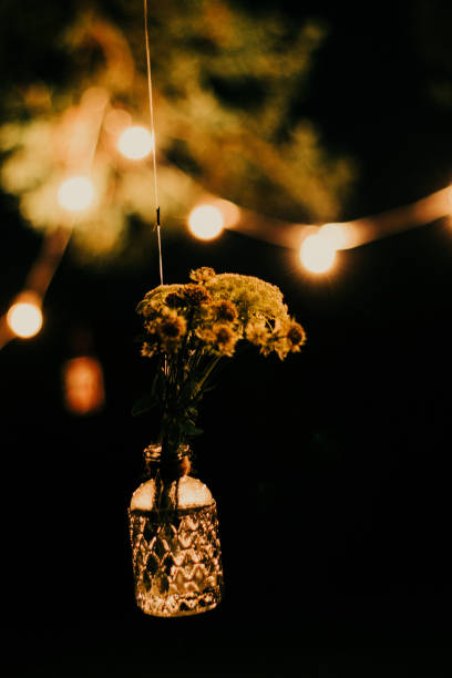istock Floating Flowers in Glass Vase 1027108496