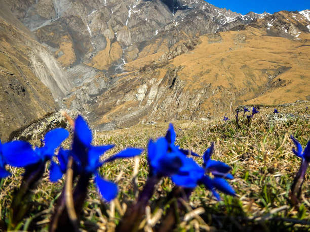 istock Kazbek Mountains, Caucasus, Georgia, Europe 1027119774