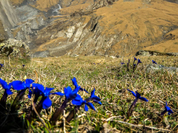 istock Kazbek Mountains, Caucasus, Georgia, Europe 1027120822