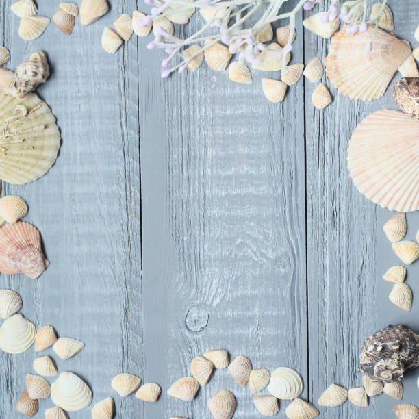 istock blue wooden background with beautiful seashells .copy space for text 1027125022