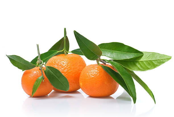 istock Tangerines with green leaves and water drops 102712597