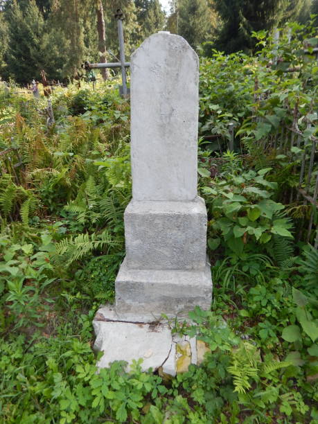 istock Crosses on graves cemetery and fences 1027129178