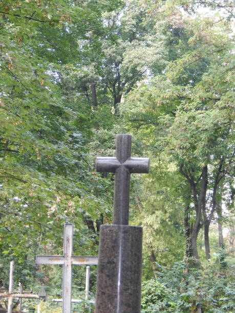 istock Crosses on graves cemetery and fences 1027129510