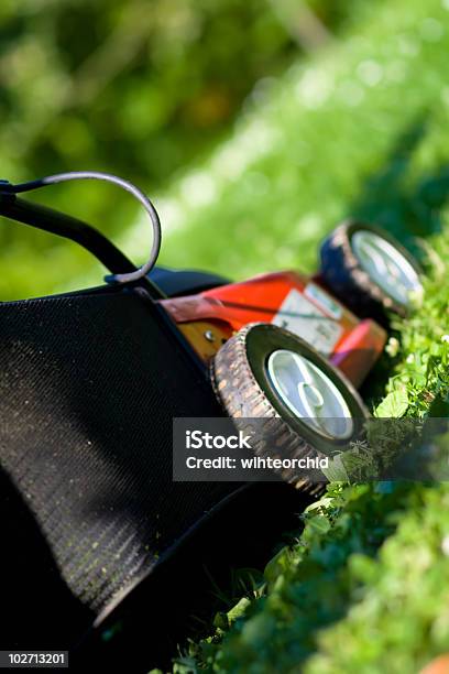 Photo libre de droit de Tondeusà Gazon banque d'images et plus d'images libres de droit de Adulte - Adulte, Brin d'herbe, Camomille - Fleur des zones tempérées