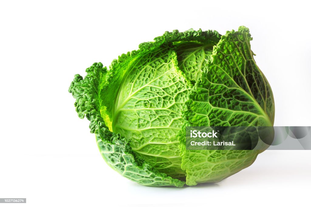 Savoy cabbage (Brassica oleracea L. convar, capitata var., Sabauda), isolated on white background. Slows the growth of malignant tumors. Add to your diet. Selective focus, copy space. Cabbage Stock Photo