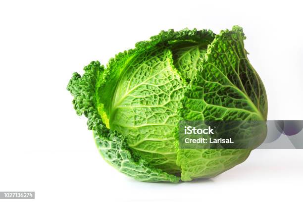 Savoy Cabbage Isolated On White Background Slows The Growth Of Malignant Tumors Add To Your Diet Selective Focus Copy Space Stock Photo - Download Image Now