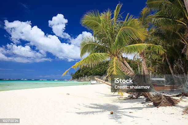 Paraíso Tropical - Fotografias de stock e mais imagens de Ao Ar Livre - Ao Ar Livre, Areia, Azul