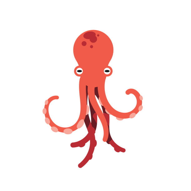 ilustraciones, imágenes clip art, dibujos animados e iconos de stock de ilustración de vector de pulpo rojo aislado sobre fondo blanco. vector de pulpo lindo. concepto de vida y animales marino. monstruo del mar lindo, depredador submarino - octopus tentacle isolated white