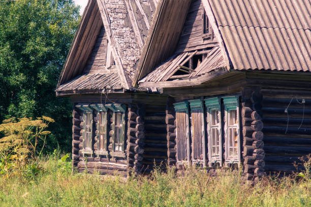 istock Cow- grower grows.Abandoned house.Nail in the wall. 1027140228