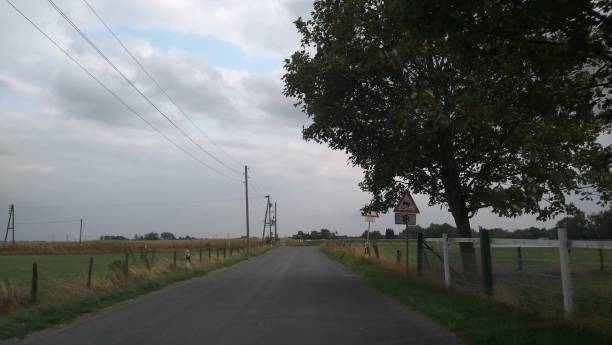 istock Country road summer morning drive 1027140792