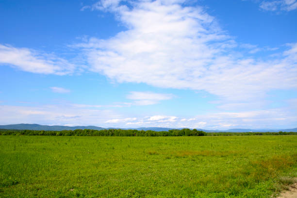 istock cempty pasture on the farm 1027141456