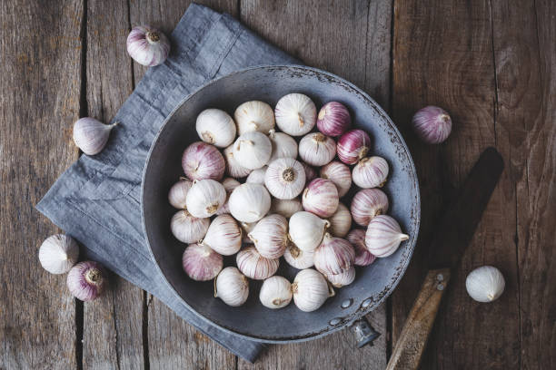 istock Solo garlics-Single garlic cloves 1027141808