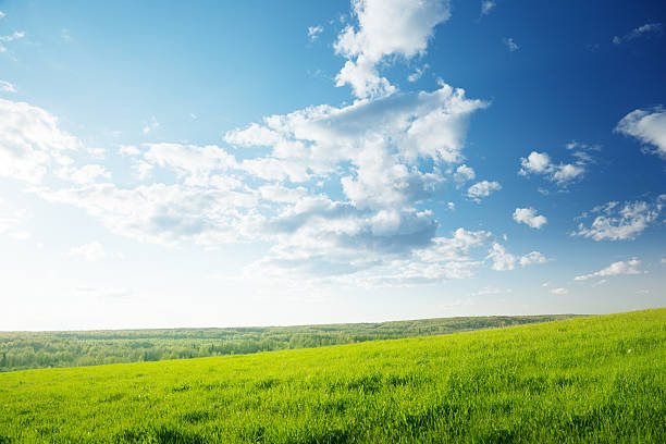 istock field of grass and sunset 102714827