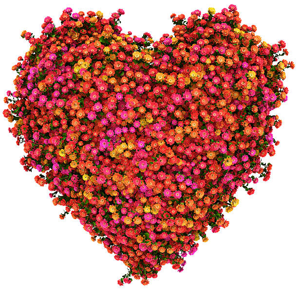 istock heart of many flowers 102714870