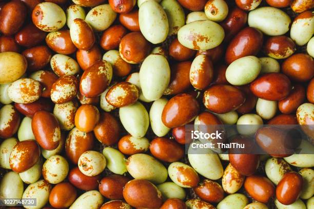 Chinese Date Fruitsziziphus Jujuba Fruits Stock Photo - Download Image Now - Agriculture, Apple - Fruit, Art