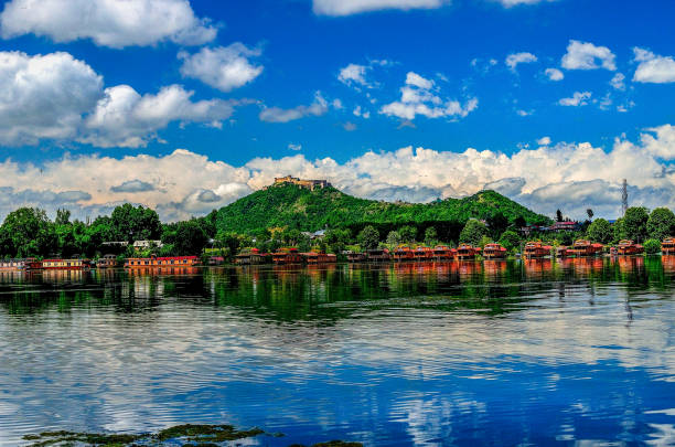 The beauty of Dal lake The photo captures the beauty of Dal lake in Srinagar, Kashmir,India. lake nagin stock pictures, royalty-free photos & images