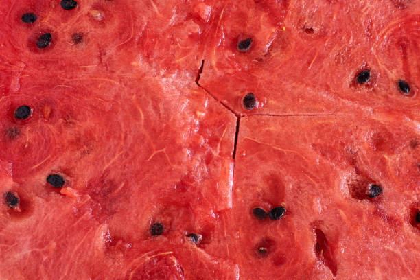 istock Background texture of a fresh watermelon 1027161204