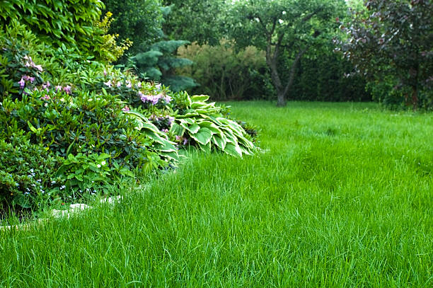 istock peaceful garden. green grass. summertime 102716466