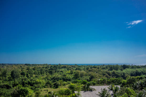 island landscape with green vegetation