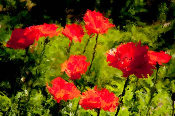 Digital Painting of red Poppies