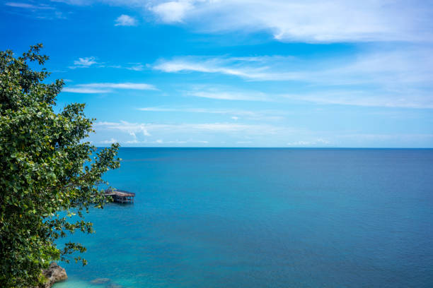 istock nature view with green plants and ocean background with cloudy sky 1027172298