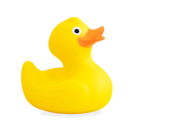 istock Yellow rubber duck isolated over white background 1027174908