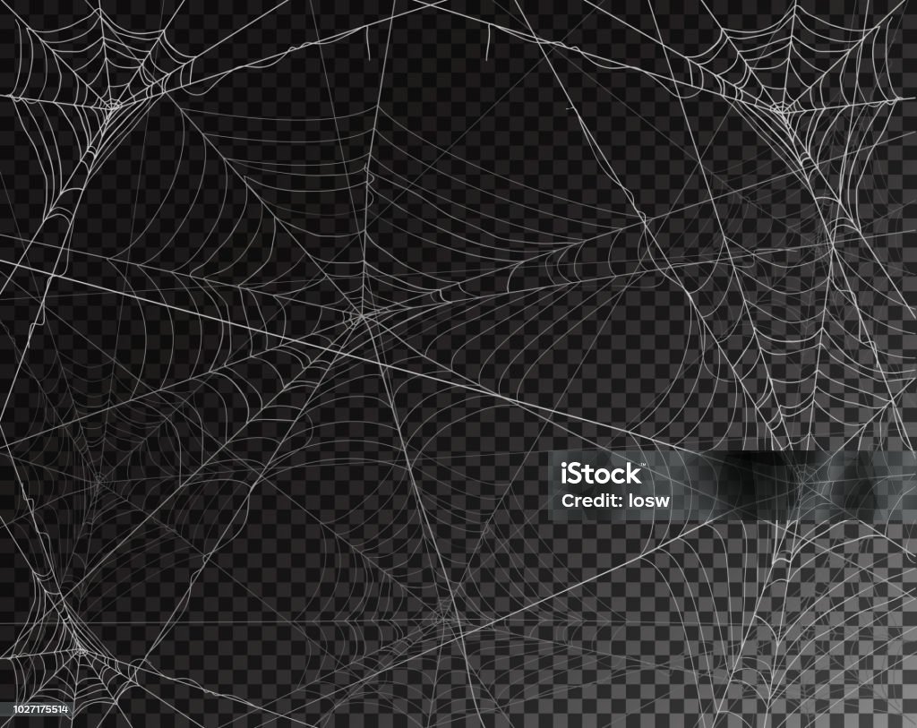 Black transparent background for Halloween with spiderwebs Black transparent background for Halloween with spider webs, illustration. Spider Web stock vector