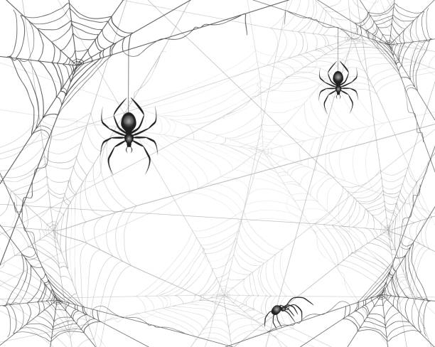 Halloween background with spiders and cobwebs Halloween background with spiders and cobwebs, illustration. spider web stock illustrations