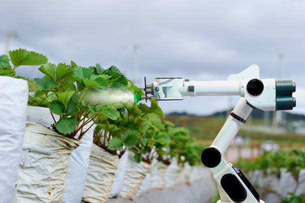 istock Agricultural machinery robots mechanical arm working technology. 1027182870