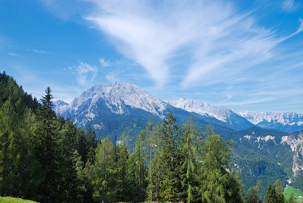 blick auf die berge - alm bavaria mountain summer stock-fotos und bilder