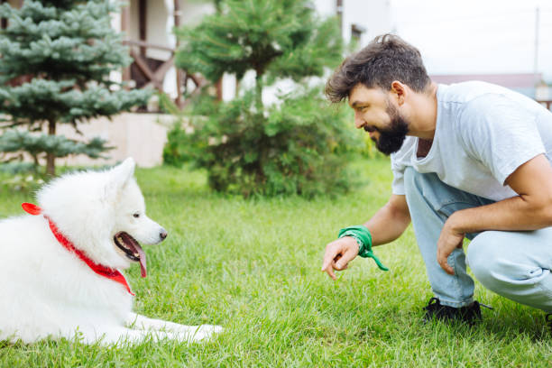 istock Beaming cheerful man looking at his lovely cute dog 1027189768