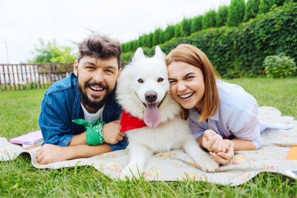 istock Young couple laughing while having picnic together 1027191174