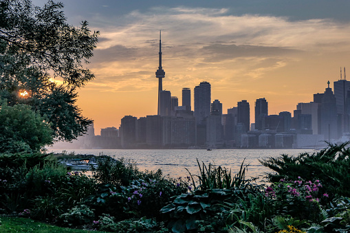 Sunset and Toronto skyline viewed from east side ward's Island, and beautiful lush vegetation, shot on summer Aug 28 2018