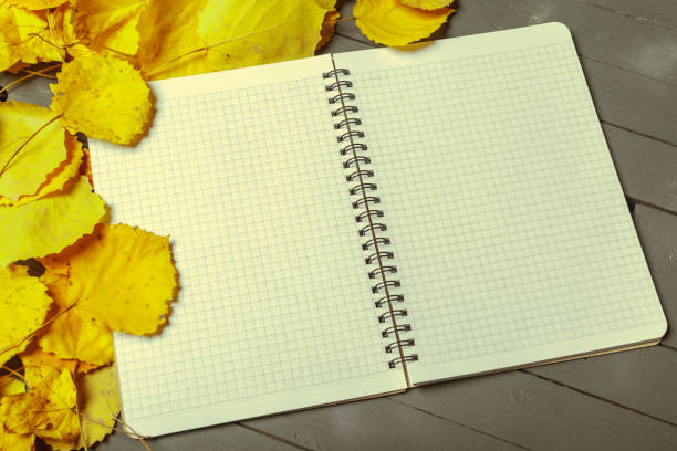istock Colorful autumn leaves over wood background with copy space 1027198692