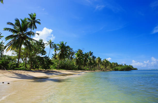 istock Palm trees on white tropical beach. Travel background 1027202114