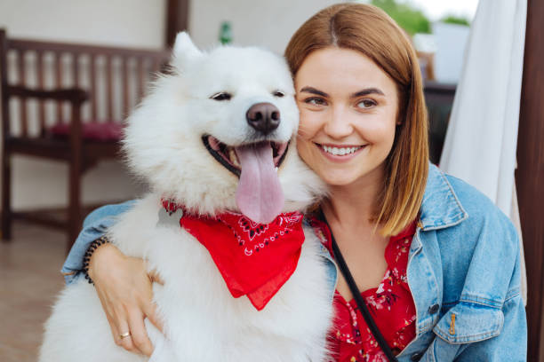 istock White husky coming to his beautiful beaming owner 1027202612