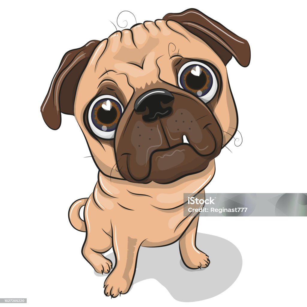 Ilustración de Perro Pug De Dibujos Animados Aislados Sobre Fondo Blanco y  más Vectores Libres de Derechos de Perro - iStock