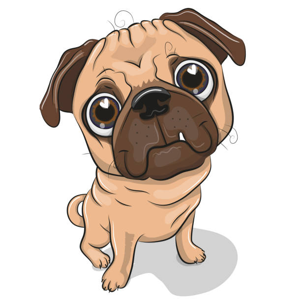 illustrations, cliparts, dessins animés et icônes de dessin animé pug dog isolé sur fond blanc - huge eyes