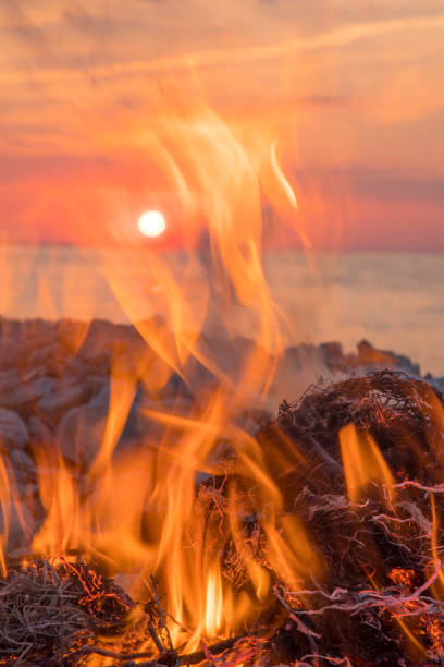 Sparkling bonfire, with blurred tourists sitting around in summer night. Close up view of campfire flames burning, with group of kids having fun on background, with copy space. Concept of camping.
