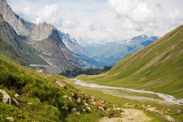 istock Rocky Mountain Landscape with Marmot on Mont-Blanc Trail 1027211474