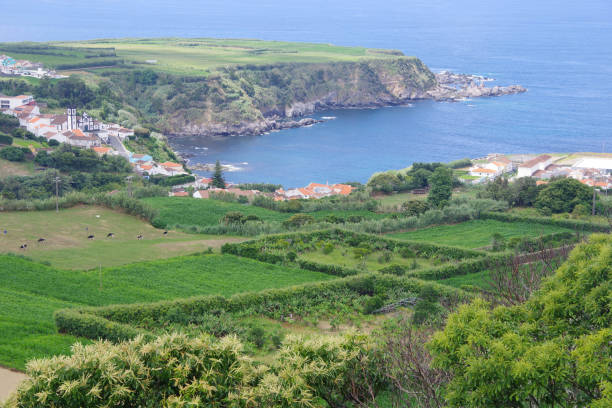 istock Sao Miguel, Azores, Portugal 1027211492