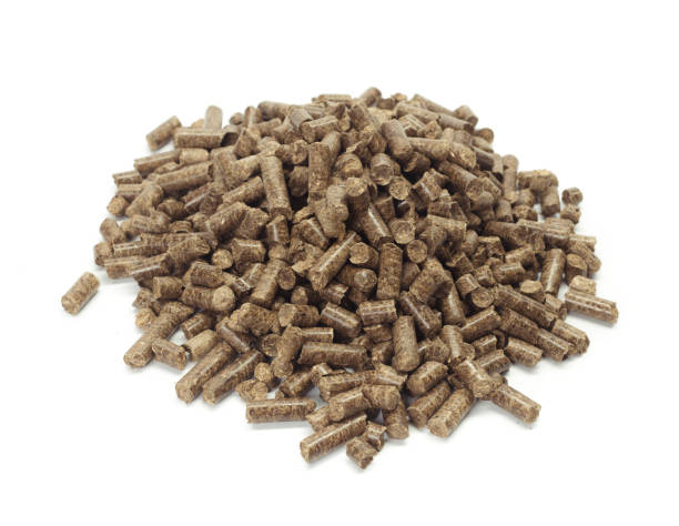 istock stack of wooden pellets for bio energy, white background, isolated 1027211500