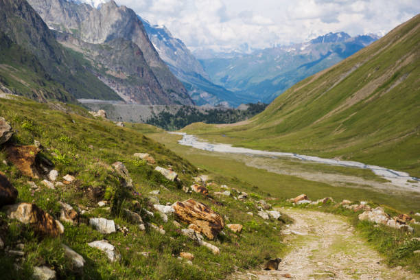 istock Rocky Mountain Landscape with Marmot on Mont-Blanc Trail 1027211580