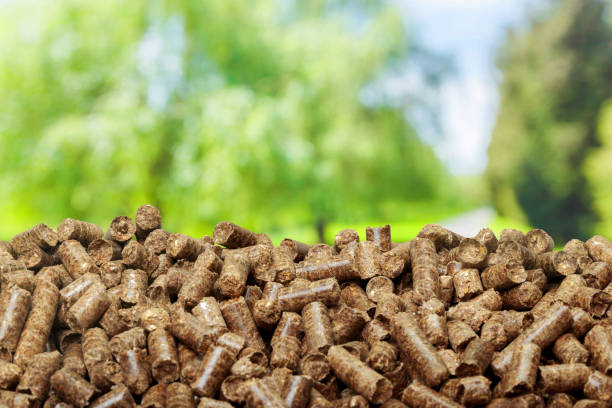 istock Wood pellets on a green background. Biofuels. 1027218634