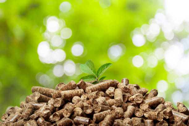 wood pellets on a green background. biofuels. - domestic issues imagens e fotografias de stock